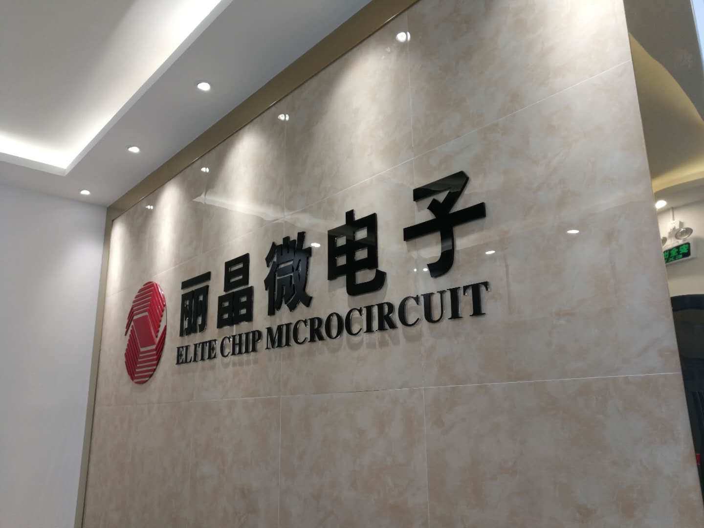 麗晶微電子科技有限公司